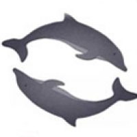 Dolphins are sold separately (shown in grey & black with white eye)